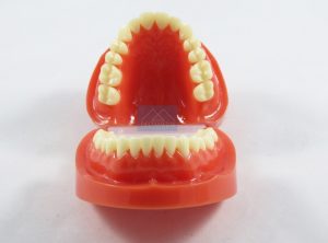 دنتیک دندانی - تایپودنت